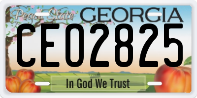 GA license plate CEO2825