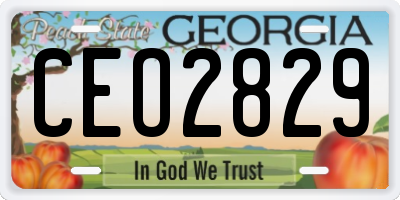 GA license plate CEO2829