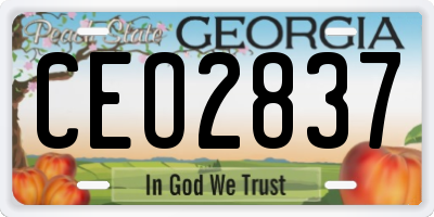 GA license plate CEO2837
