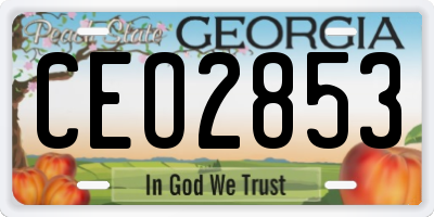 GA license plate CEO2853