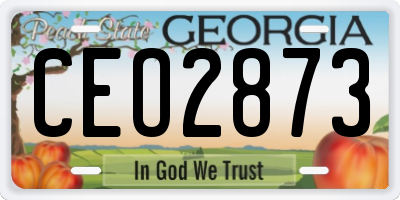 GA license plate CEO2873