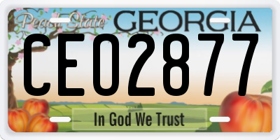 GA license plate CEO2877