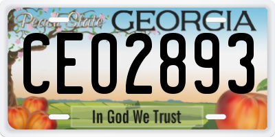 GA license plate CEO2893