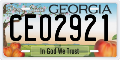 GA license plate CEO2921
