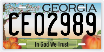 GA license plate CEO2989