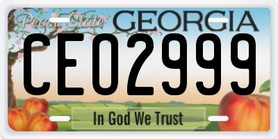GA license plate CEO2999