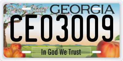 GA license plate CEO3009