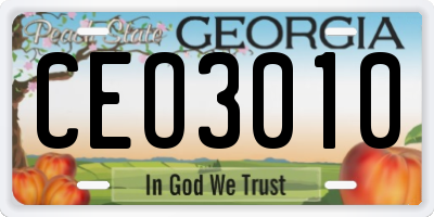 GA license plate CEO3010