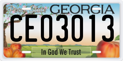 GA license plate CEO3013