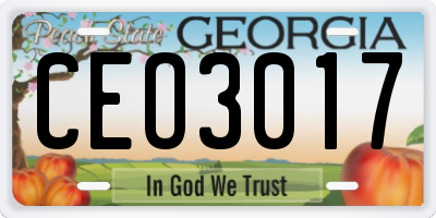 GA license plate CEO3017