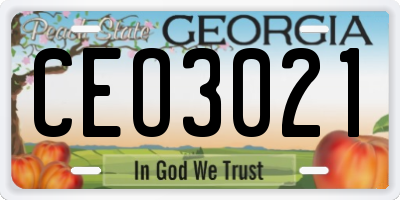GA license plate CEO3021