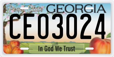 GA license plate CEO3024