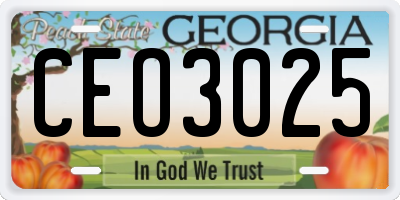 GA license plate CEO3025