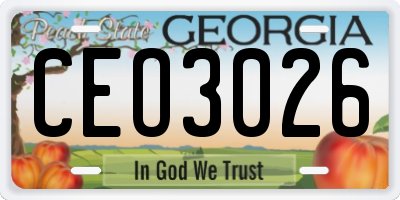 GA license plate CEO3026