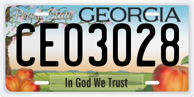 GA license plate CEO3028