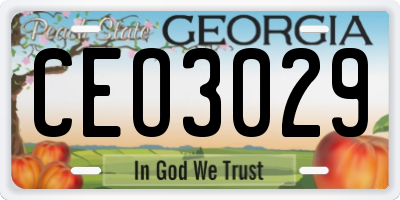 GA license plate CEO3029