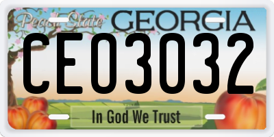 GA license plate CEO3032