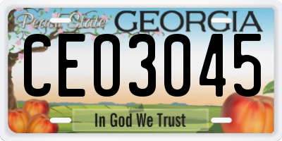 GA license plate CEO3045