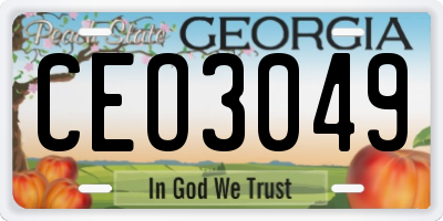 GA license plate CEO3049