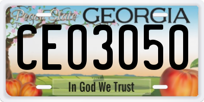 GA license plate CEO3050