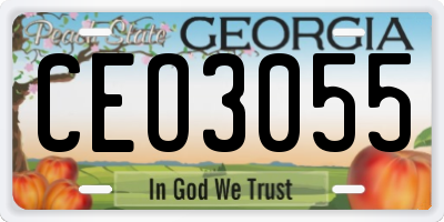 GA license plate CEO3055
