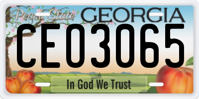 GA license plate CEO3065