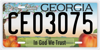 GA license plate CEO3075