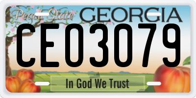 GA license plate CEO3079
