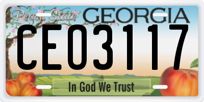 GA license plate CEO3117