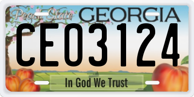 GA license plate CEO3124
