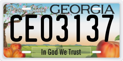 GA license plate CEO3137