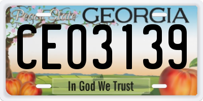 GA license plate CEO3139