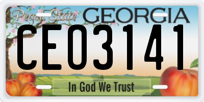 GA license plate CEO3141