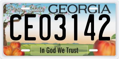 GA license plate CEO3142