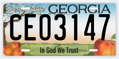 GA license plate CEO3147