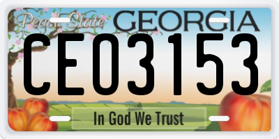 GA license plate CEO3153
