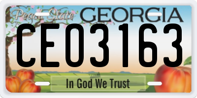 GA license plate CEO3163