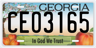 GA license plate CEO3165