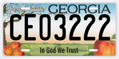 GA license plate CEO3222