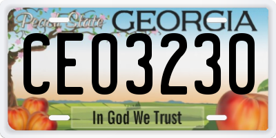 GA license plate CEO3230