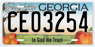 GA license plate CEO3254
