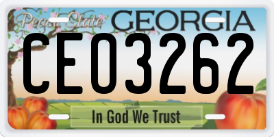 GA license plate CEO3262