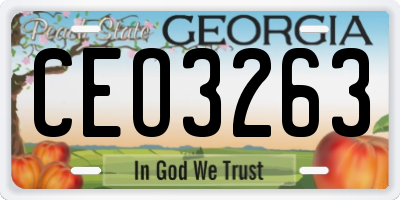 GA license plate CEO3263