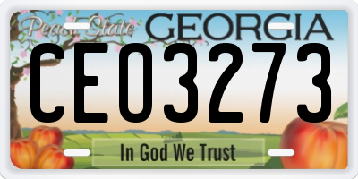 GA license plate CEO3273