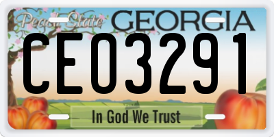 GA license plate CEO3291