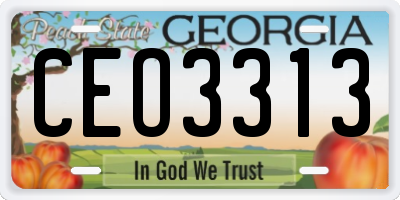 GA license plate CEO3313