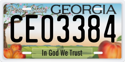 GA license plate CEO3384