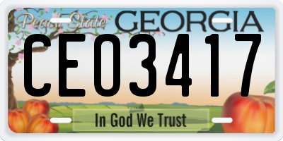 GA license plate CEO3417