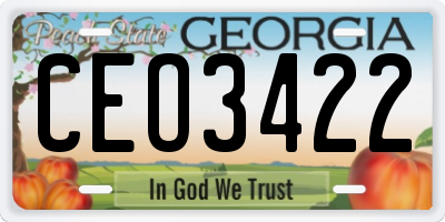 GA license plate CEO3422