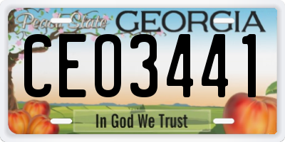 GA license plate CEO3441